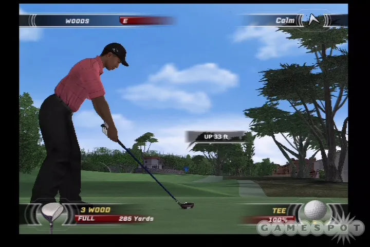 Tiger Woods PGA TOUR 07 – PlayStation 2 | Usado