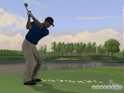 Tiger Woods PGA TOUR 06 – PlayStation 2 | Usado