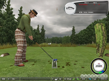 Tiger Woods PGA TOUR 06 – PlayStation 2 | Usado