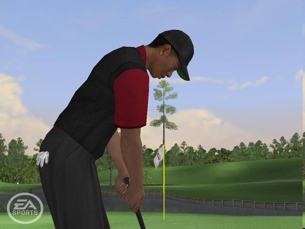 Tiger Woods PGA TOUR 06 – PlayStation 2 | Usado