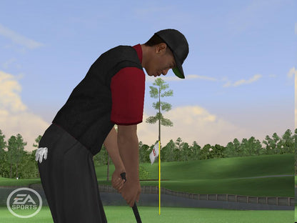 Tiger Woods PGA TOUR 06 – PlayStation 2 | Usado