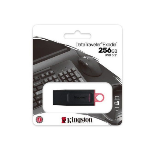 Memoria USB Kingston 256GB