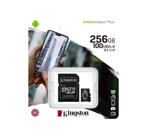 Micro SD Kingston 256GB