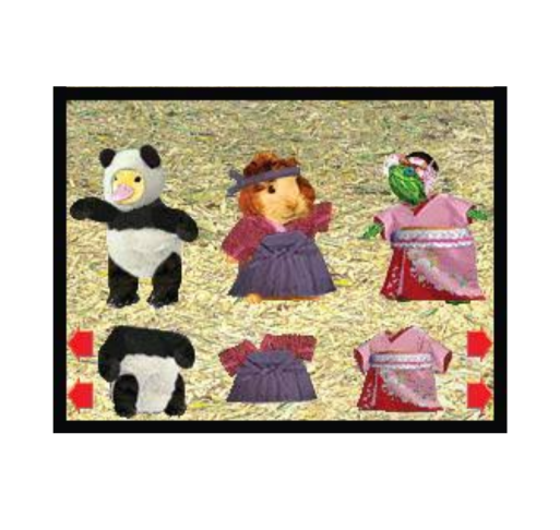 Wonder Pets! Save the Animals! – Nintendo DS | Usado