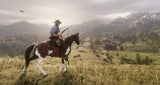 Red Dead Redemption II - PlayStation 4