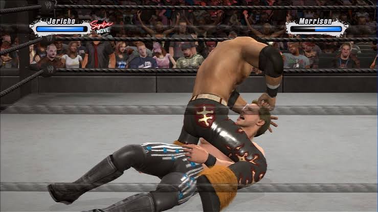 WWE SmackDown vs. Raw 2009 – Nintendo DS | Usado