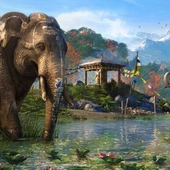 Far Cry 4 – PlayStation 4 | Usado