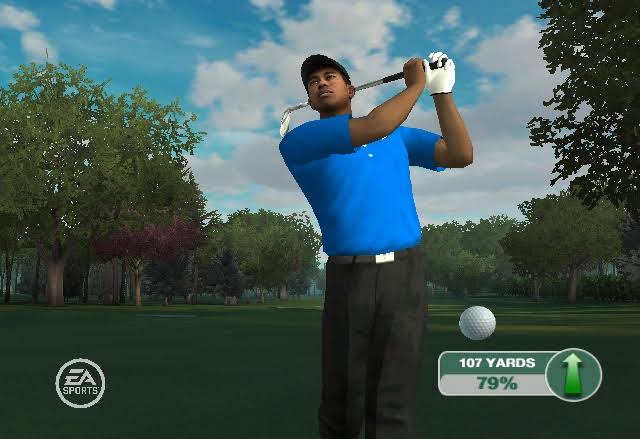 Tiger Woods PGA Tour 09 All-Play – Nintendo Wii | Usado