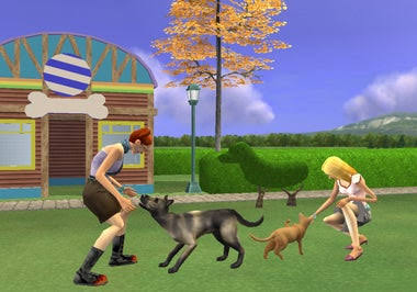 The Sims 2: Pets – Nintendo Wii |  USADO