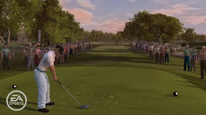 Tiger Woods PGA Tour 07 – Nintendo Wii | Usado